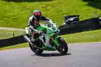 Lower Group Green Bikes